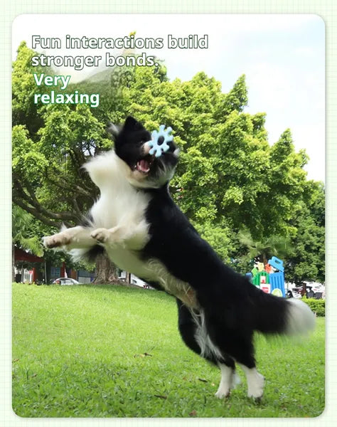 Pet Interactive Flywheel,Dog Frisbee Toy,Fun Interactions Buildstronger Bonds