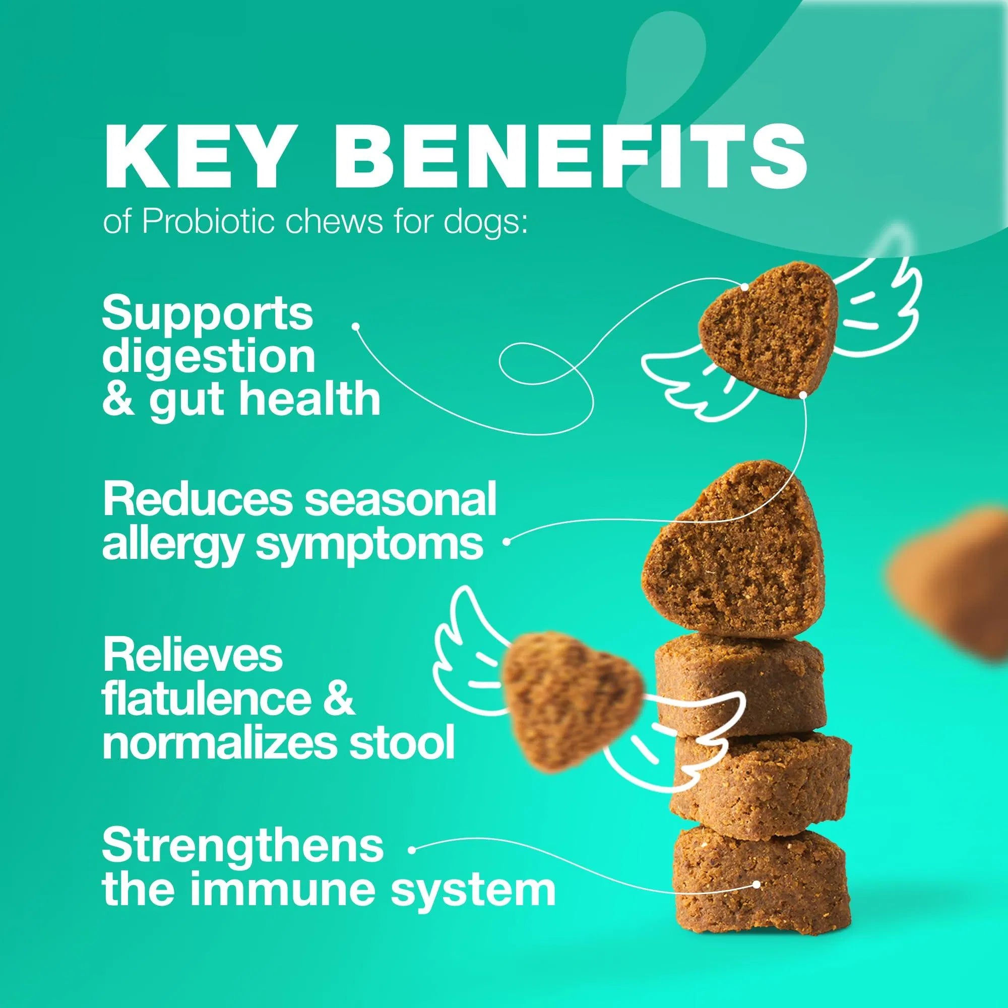 Do Not Sell On Amazon Probiotics For Dogs Support Gut Health Immunity Yeast Balance Itchy Skin Allergies Probiotics And Digestive Enzymes Coprophagia Deterrent For Dogs 180 Probiotic Chews For Dogs