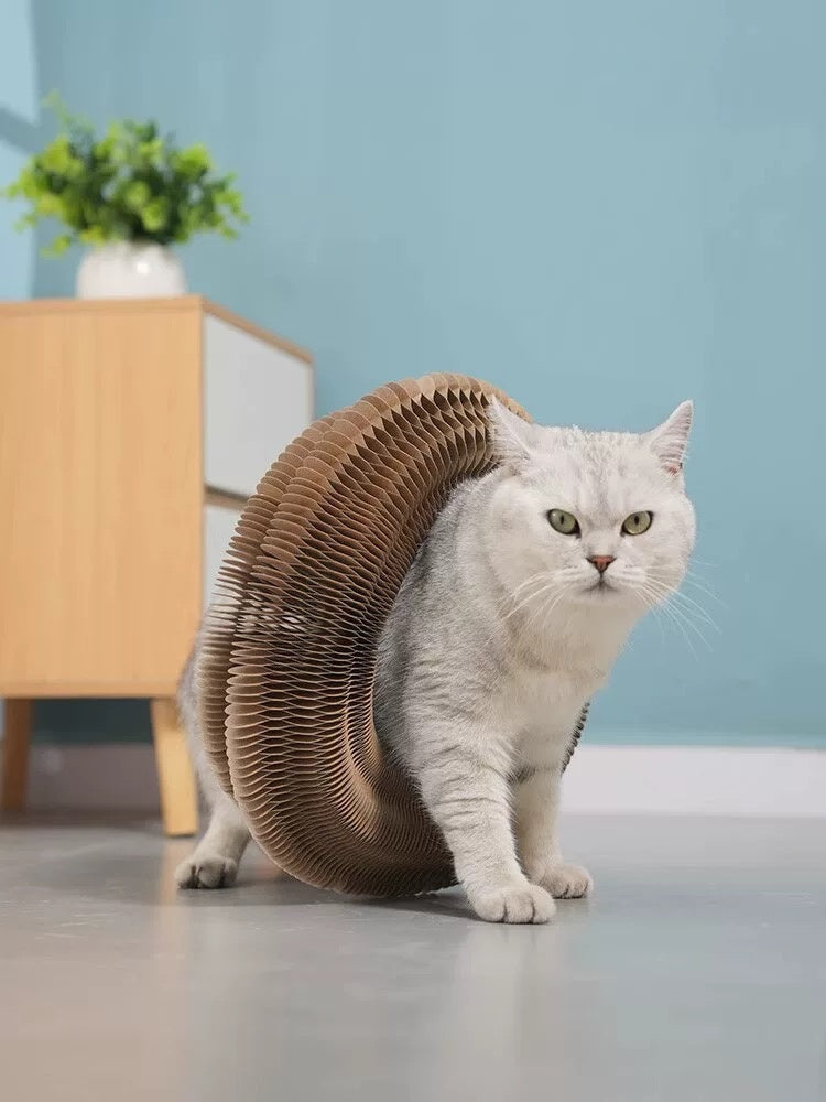 Folding Cat Scratcher, A Magical Foldable Toy