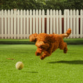 Artifical Grass, 6 X 10 Ft Rug Green Turf, 1.38'Fake Door Mat Outdoor Patio Lawn Decoration, Easy To Clean With Drainage Holes, Perfect For Multi-Purpose Home Indoor Entryway Scraper Dog Mats