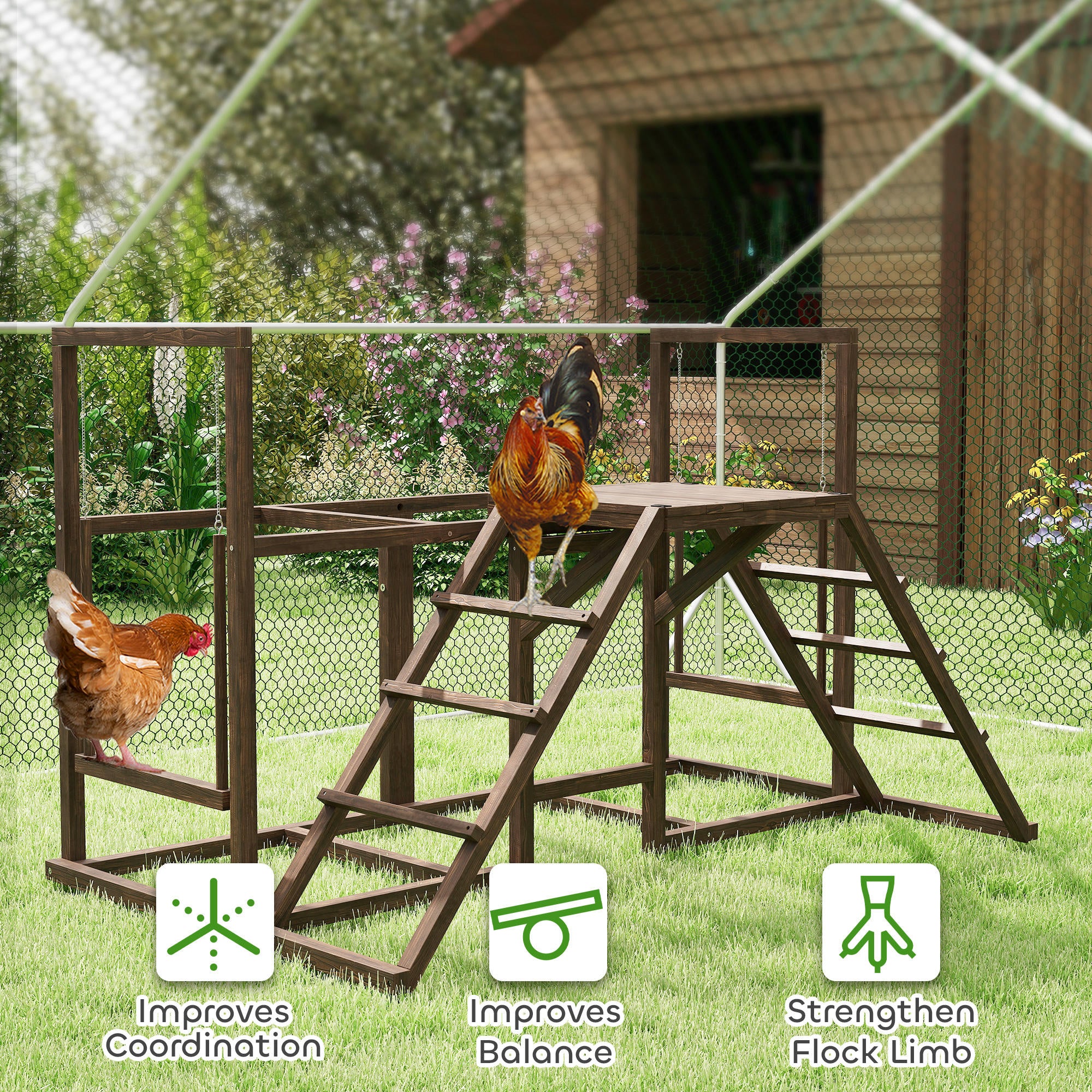 Chicken Activity Play Set with Multiple Chicken Perches, Swing, Ladder, Platform for 3-4 Chickens, Coffee