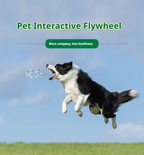 Pet Interactive Flywheel,Dog Frisbee Toy,Fun Interactions Buildstronger Bonds