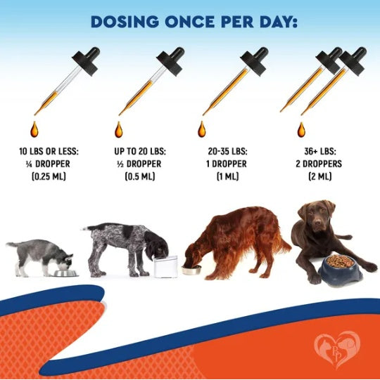 Natural Dog Yeast Infection Anti Itch Treatment Itchy Ears Skin & Allergy Symptoms Relief Reduces Inflammation & Relieves Irritation Herbal Medicine Supplement Drops Made In USA