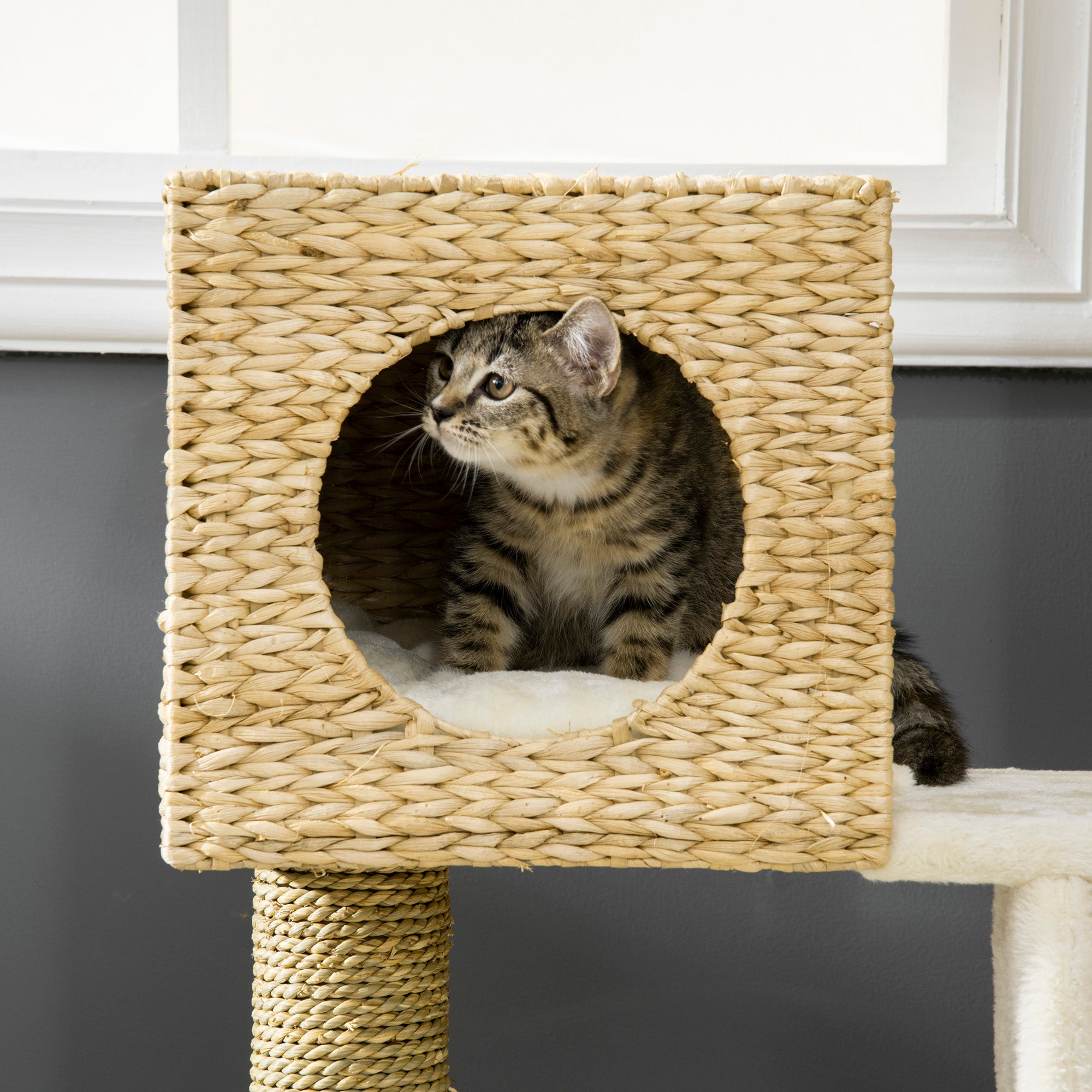 Cattail Weave Cat Tree for Indoor Cats Kitty Tower with Rattan Cat Condo, Wicker Bed, Ladder, Washable Cushions, 22.5" x 14.5" x 39.5", Natural
