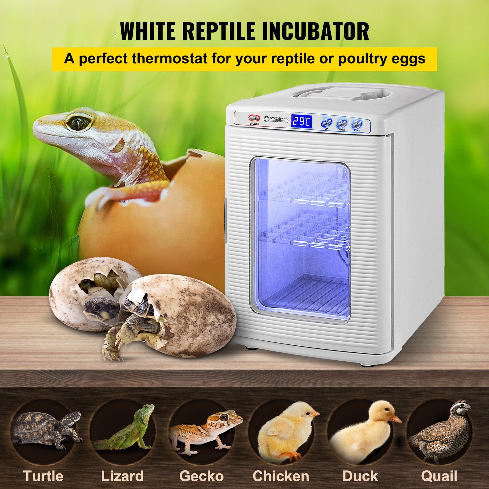White Reptile Incubator 25L Scientific Lab Incubator Digital Incubator Cooling And Heating 5-42°C Reptile Egg Incubator 12V/110V Work For Small Reptiles