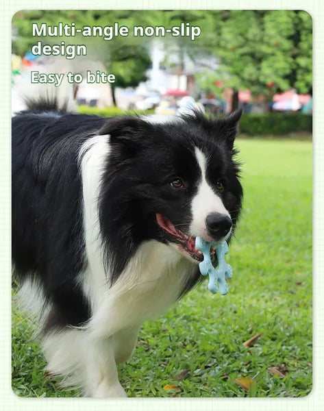 Pet Interactive Flywheel,Dog Frisbee Toy,Fun Interactions Buildstronger Bonds